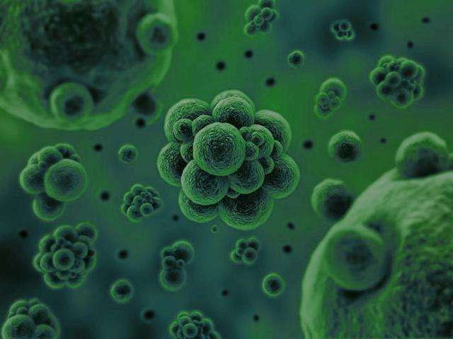 微生物是通過何種方式將廢水中的污染物分解去除掉的？