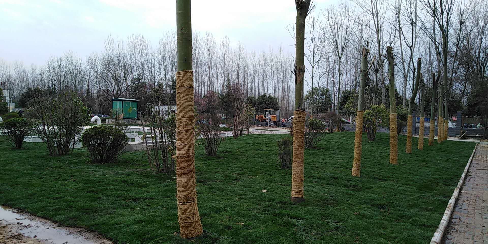 6、平輿縣一高地埋式污水處理2